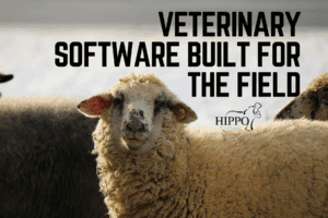 mobile veterinary software