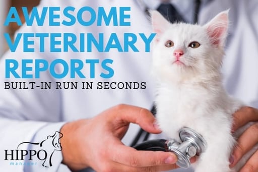 awesome veterinary reports white kitten