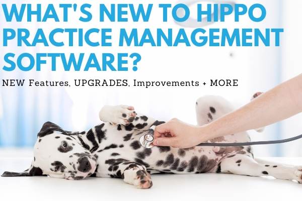  december 2019 free training webinar what's new to Hippo
