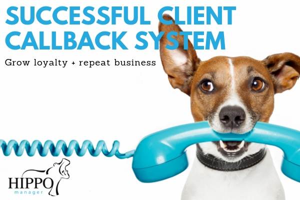 veterinary client callback system dog with phone (1)