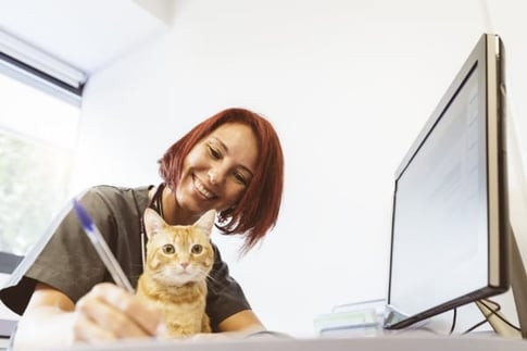 veterinary work-life balance tech with cat at home