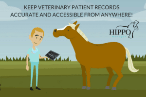veterinary patient records